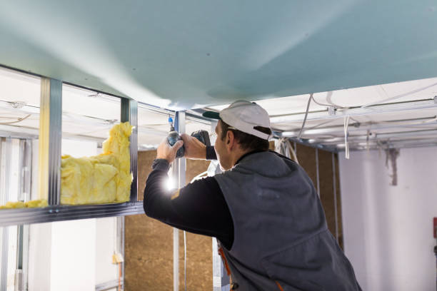 Best Types of Insulation in Laie, HI